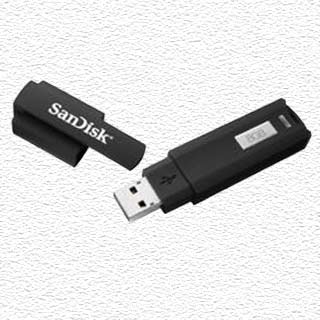 Sandisk Cruzer USB