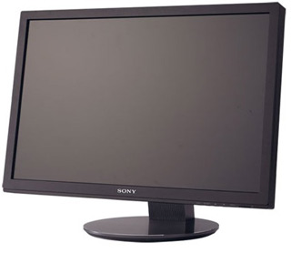 Sony VGP-D24WD1 Monitor